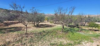 Chalet en venta en Sax