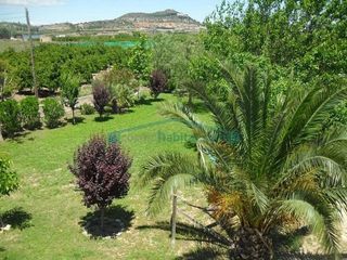 Masía en venta en Benaguasil
