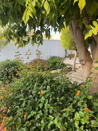 Chalet en venta en Pinar de los Franceses - Marquesado en Chiclana de la Frontera