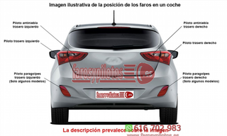 Tulipa de Piloto Trasero Izquierdo IVECO DAILY añ