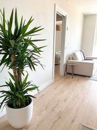 Piso en venta en Palma - Palmilla en Málaga