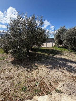 Chalet en venta en Iznalloz