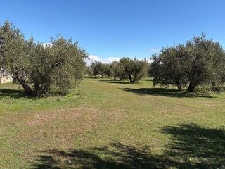 Chalet en venta en Iznalloz