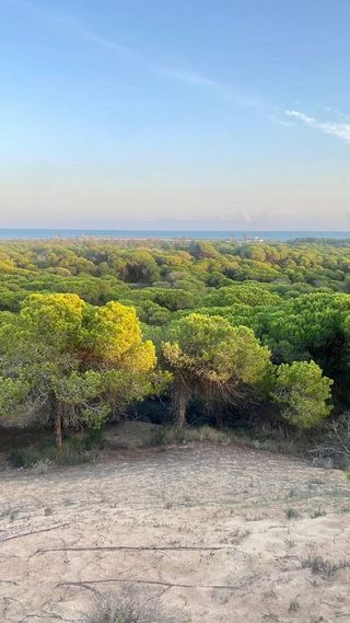 Piso en venta en Zona Pueblo en Guardamar del Segura