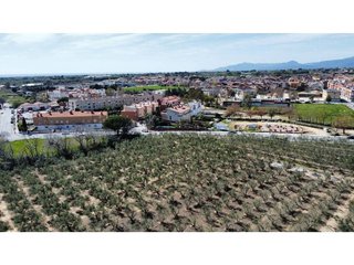 Casa rural en venta en Riudoms