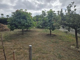 Casa rural en venta en Cerros del Águila en Mijas