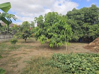 Casa rural en venta en Cerros del Águila en Mijas