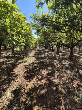 Terreno en venta en Sant Francesc en Valencia
