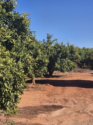 Terreno en venta en Sant Francesc en Valencia