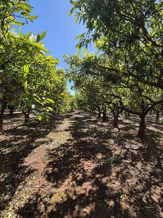 Terreno en venta en Sant Francesc en Valencia