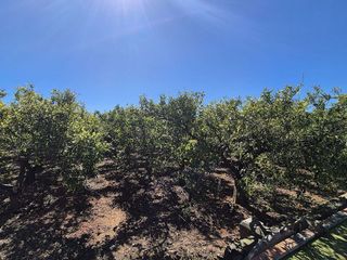Terreno en venta en Sant Francesc en Valencia