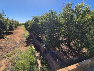 Terreno en venta en Sant Francesc en Valencia
