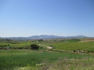 Chalet en venta en Coín