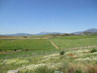 Chalet en venta en Coín