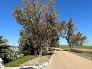 Casa rural en venta en Campillos