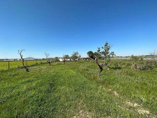 Casa rural en venta en Campillos