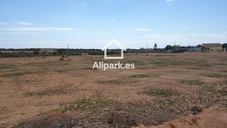 Terreno en venta en El Travaló - Martínez Valero en Elche