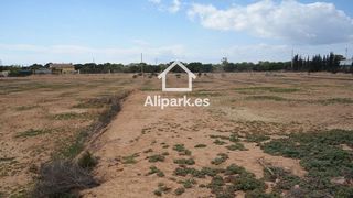Terreno en venta en El Travaló - Martínez Valero en Elche