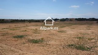 Terreno en venta en El Travaló - Martínez Valero en Elche
