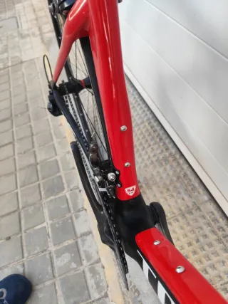 Bici carretera carbono Talla 54 TRIFOX