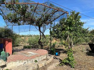 Casa rural en venta en Cabezas de San Juan (Las)