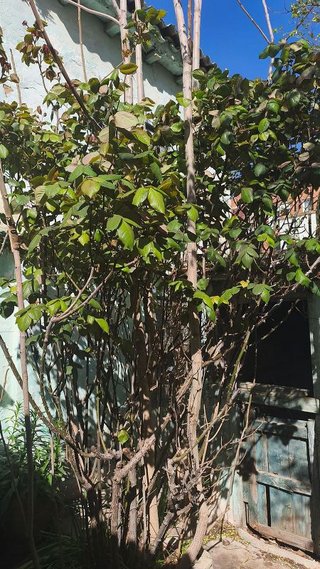 Casa adosada en venta en Oliver en Zaragoza