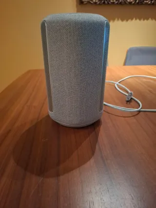 Coluna Wireless Sony SRS-RA3000 Cinza