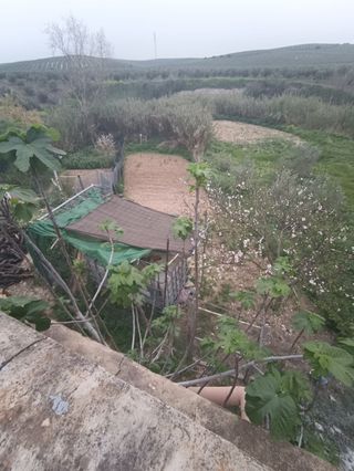 CASA EN VENTA CON TERRENO EN CASATEJADA, LUCENA