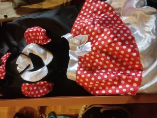 Disfraz Minnie Mouse Talla 4 años