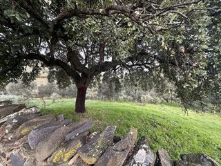 Masía en venta en Valencia de Alcántara