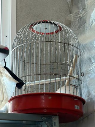 Jaula para loro redonda