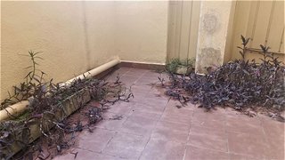 Piso en venta en Barri del Centre en Terrassa