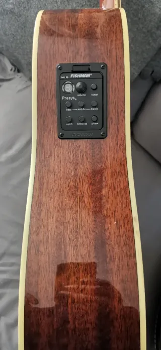 Washburn Electroacústica