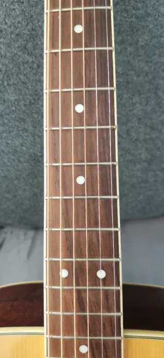 Washburn Electroacústica