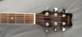 Washburn Electroacústica