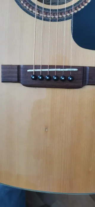 Washburn Electroacústica
