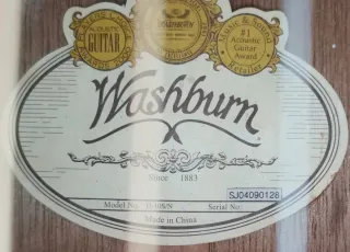Washburn Electroacústica