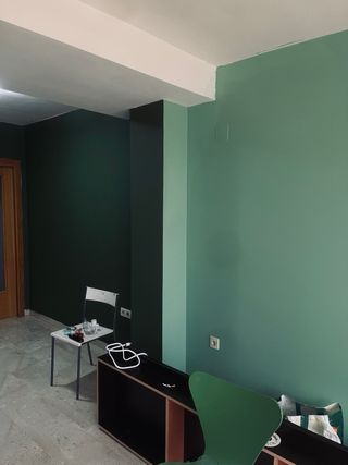 Pintor económico Valencia y alrededores