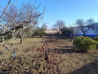 Casa rural en venta en Universidad en Ciudad Real