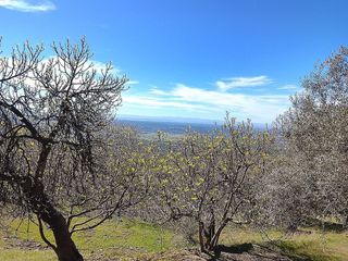 Terreno en venta en Candeleda
