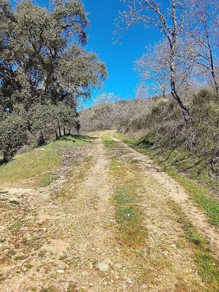 Terreno en venta en Candeleda