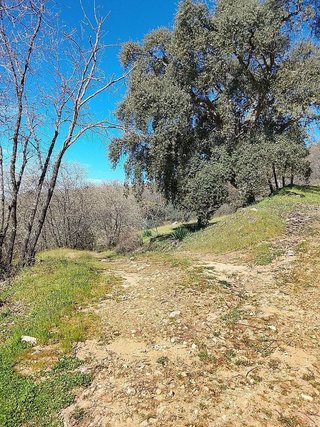 Terreno en venta en Candeleda