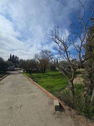 Chalet en venta en Aljomahima - Ermita en Gabias (Las)