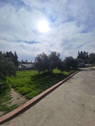 Chalet en venta en Aljomahima - Ermita en Gabias (Las)