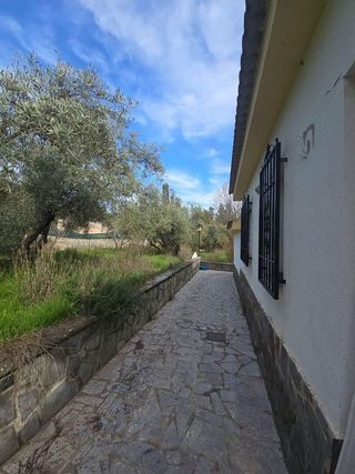 Chalet en venta en Aljomahima - Ermita en Gabias (Las)