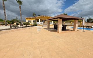 Chalet en venta en Catral
