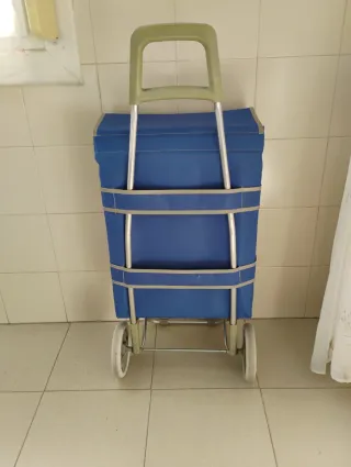Carro y regalo bolso de compra