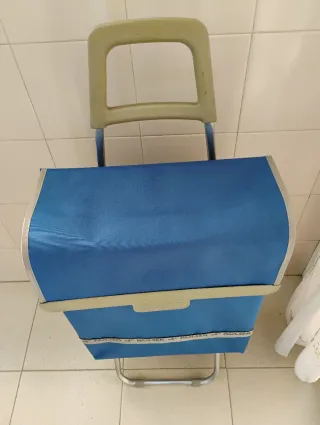 Carro y regalo bolso de compra