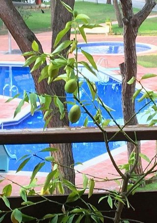 Piso en venta en Gavà Mar en Gavà