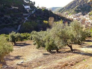 Terreno en venta en Barrio de la Vega en Monachil